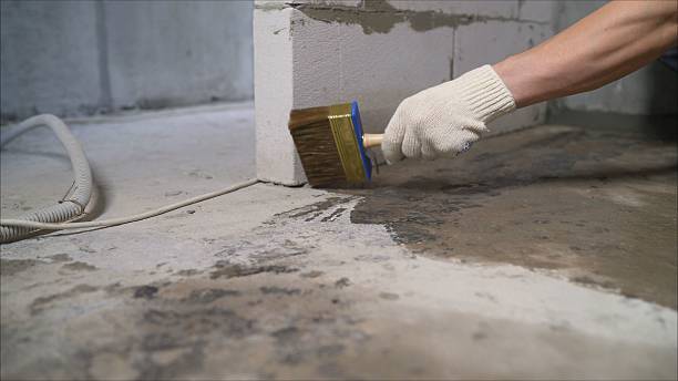 SJ Waterproofing Pros Waterproofing coverage map for Maybee, MI and surrounding area